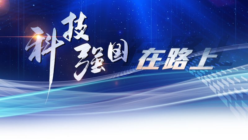 微服务网关选型的核心考量因素